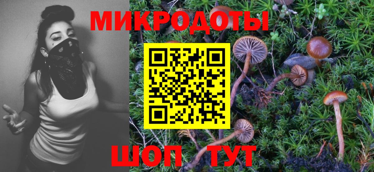 Псилоцибиновые грибы MAGIC MUSHROOMS  Вход с VPN  купить наркотики сайты  Псилоцибиновые грибы Psilocybe  Ачинск 